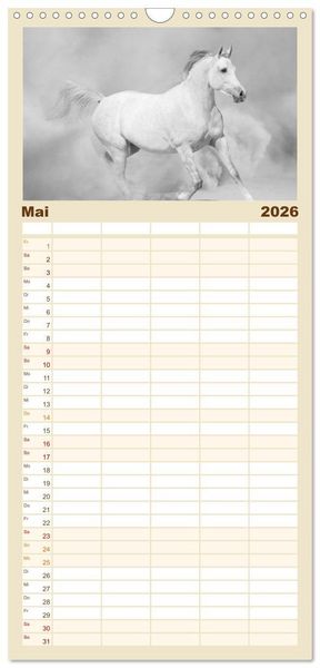Produktbild: Familienplaner 2026 - Arabische Pferde mit 5 Spalten (Wandkalender, 21 x 45 cm) CALVENDO