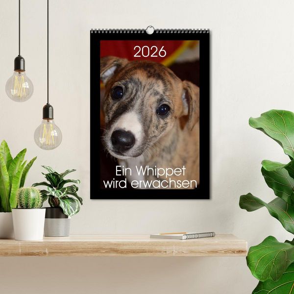 Produktbild: Ein Whippet wird erwachsen (Wandkalender 2026 DIN A3 hoch), CALVENDO Monatskalender