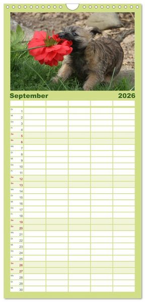 Produktbild: Familienplaner 2026 - Der Hundewelpen-Geburtstagskalender mit 5 Spalten (Wandkalender, 21 x 45 cm) CALVENDO