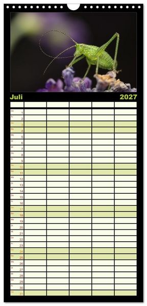 Produktbild: Familienplaner 2027 - Verborgene Wunder mit 5 Spalten (Wandkalender, 21 x 45 cm) CALVENDO