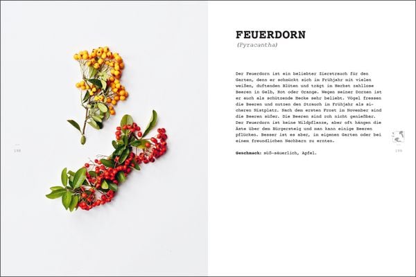 Produktbild: Wilde Ernte