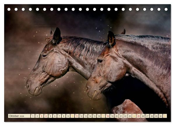 Produktbild: Eleganz und Sch&ouml;nheit - Pferde (Tischkalender 2026 DIN A5 quer), CALVENDO Monatskalender