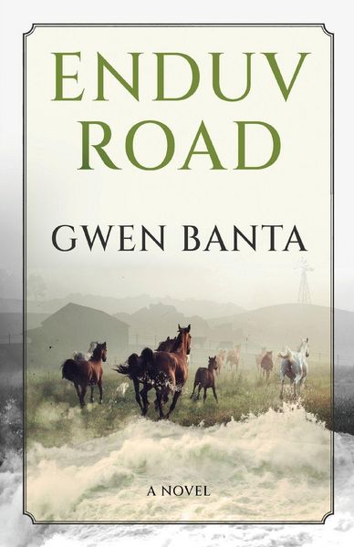 Produktbild: Enduv Road