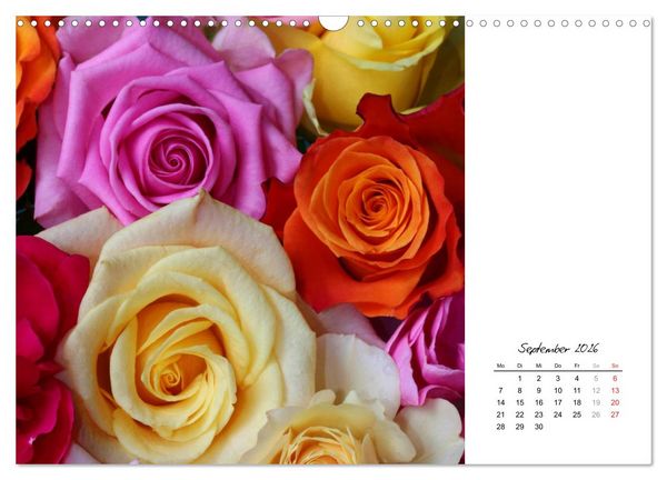 Produktbild: Die vielen Gesichter der Rosen (Wandkalender 2026 DIN A3 quer), CALVENDO Monatskalender