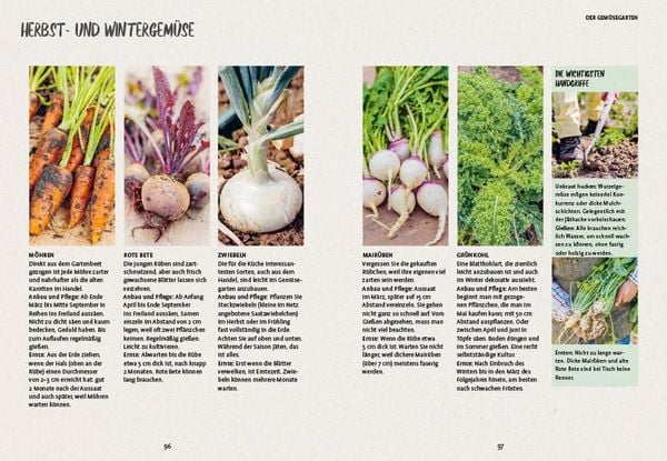 Produktbild: In den Garten, fertig, los!