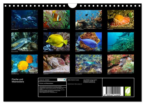 Produktbild: Fische und Meerestiere (Wandkalender 2026 DIN A4 quer), CALVENDO Monatskalender