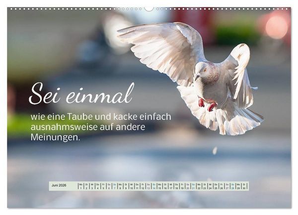 Produktbild: Der Spruchkalender - freiheraus und witzig (Wandkalender 2026 DIN A2 quer), CALVENDO Monatskalender