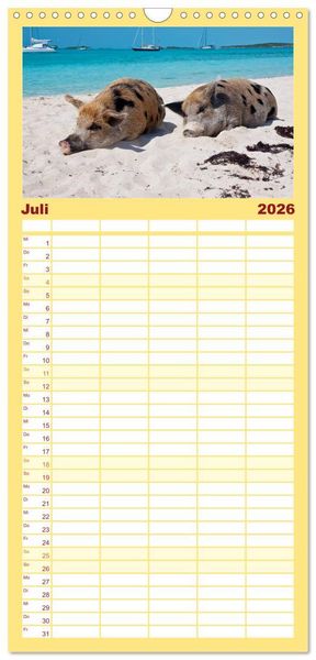 Produktbild: Familienplaner 2026 - Schweine im Dauerurlaub auf den Bahamas! mit 5 Spalten (Wandkalender, 21 x 45 cm) CALVENDO