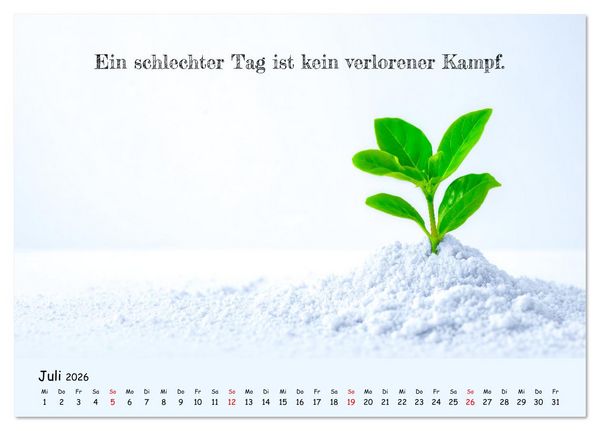 Produktbild: Krebs ist ein Vollidiot - Kalender f&uuml;r alle K&auml;mpfer mit Krebserkrankung (Tischkalender 2026 DIN A5 quer), CALVENDO Monatskalender