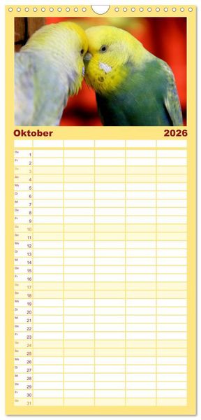 Produktbild: Familienplaner 2026 - Wellensittichkalender! - Das Original mit 5 Spalten (Wandkalender, 21 x 45 cm) CALVENDO