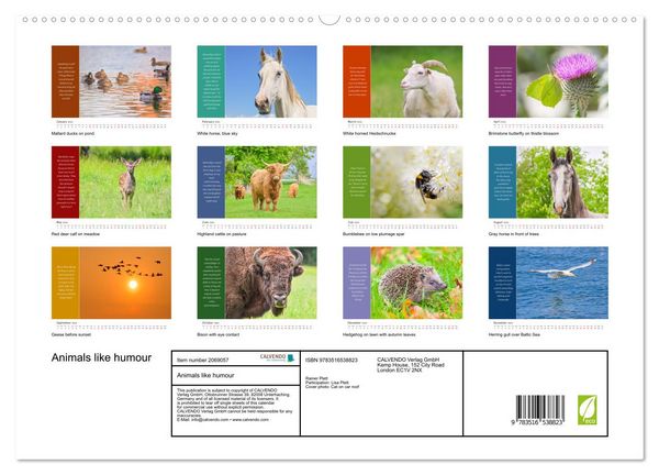 Produktbild: Animals like humour (High Quality Premium Wall Calendar 2026 DIN A2 landscape),CALVENDO 12 Month Wall Calendar