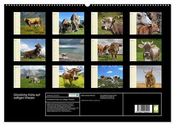Produktbild: Gl&uuml;ckliche K&uuml;he auf saftigen Wiesen (hochwertiger Premium Wandkalender 2026 DIN A2 quer), Kunstdruck in Hochglanz