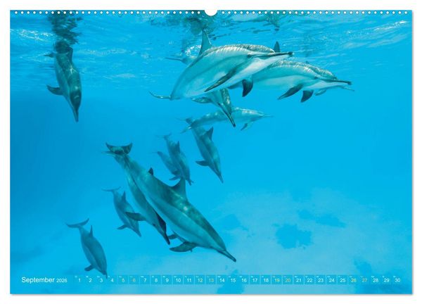 Produktbild: Planet Wasser: Von wegen Planet Erde (Wandkalender 2026 DIN A2 quer), CALVENDO Monatskalender