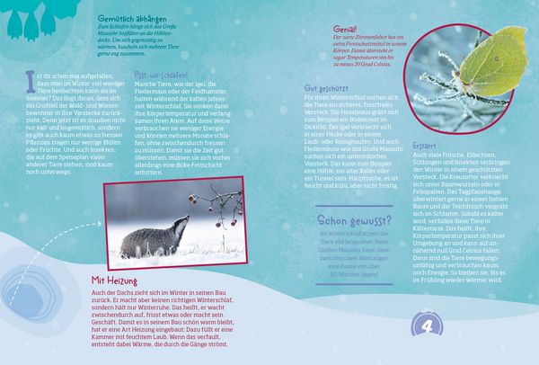 Produktbild: Mein WAS IST WAS Adventskalenderbuch 3