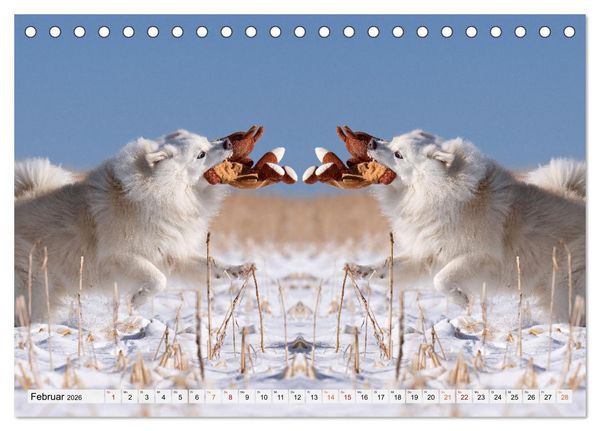 Produktbild: Mit doppelter Power durch das Jahr (Tischkalender 2026 DIN A5 quer), CALVENDO Monatskalender