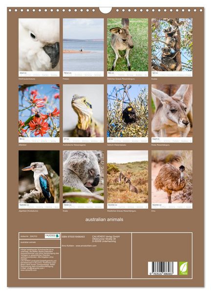 Produktbild: australian animals (Wandkalender 2026 DIN A3 hoch), CALVENDO Monatskalender