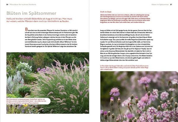 Produktbild: Echte Hitzeprofis