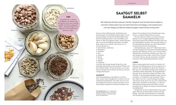 Produktbild: Frische Ernte zum kleinen Preis