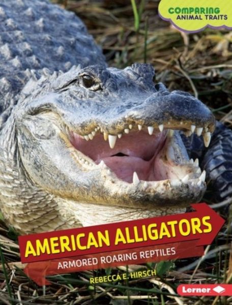 Produktbild: Amer Alligators