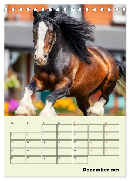 Produktbild: Shire Horse Magie. Englands sanfte Giganten (Tischkalender 2027 DIN A5 hoch), CALVENDO Monatskalender