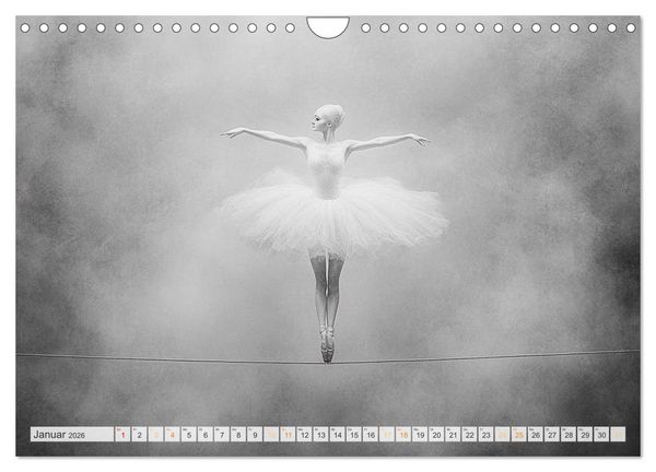 Produktbild: Im Pas de Deux mit der Stille (Wandkalender 2026 DIN A4 quer), CALVENDO Monatskalender
