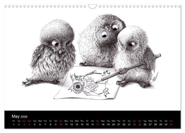 Produktbild: owls & friends 2026 (Wall Calendar 2026 DIN A3 landscape), CALVENDO 12 Month Wall Calendar