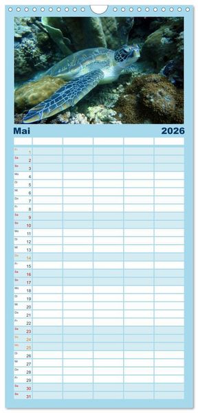 Produktbild: Familienplaner 2026 - Fische und Meerestiere mit 5 Spalten (Wandkalender, 21 x 45 cm) CALVENDO