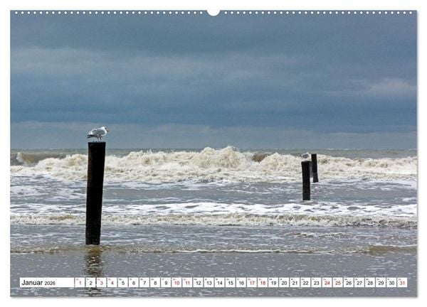 Produktbild: Wintertage auf Norderney (hochwertiger Premium Wandkalender 2026 DIN A2 quer), Kunstdruck in Hochglanz