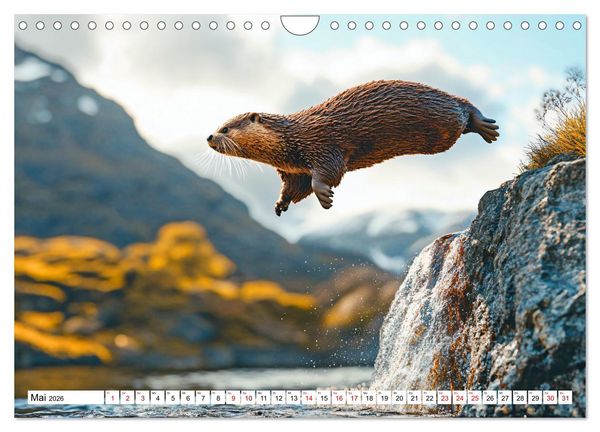 Produktbild: Otterwegs - 12 Monate tierischer Urlaubsspa&szlig; (Wandkalender 2026 DIN A4 quer), CALVENDO Monatskalender