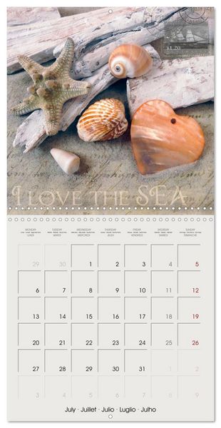 Produktbild: Special hearts in wonderful still lifes (Wall Calendar 2026 12 &times; 12 Inch) CALVENDO 12 Month Wall Calendar