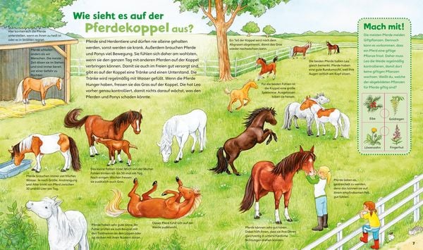 Produktbild: Pferde und Ponys / Was ist was junior Band 5