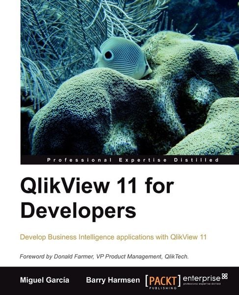 Produktbild: Qlikview 11 Developer's Guide