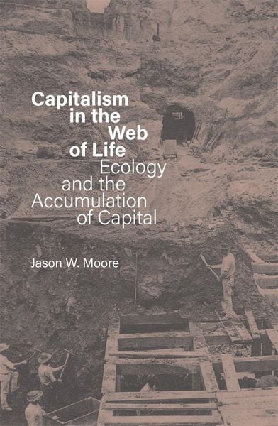 Produktbild: Capitalism in the Web of Life