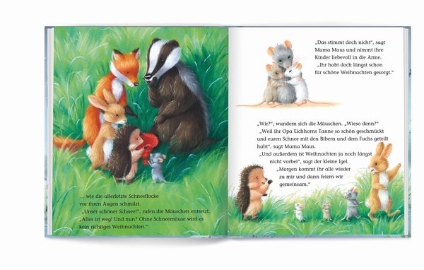 Produktbild: Der kleine Igel und die Schneem&auml;use
