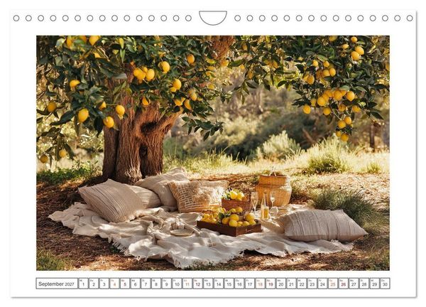 Produktbild: Mediterrane Zitronentr&auml;ume (Wandkalender 2027 DIN A4 quer), CALVENDO Monatskalender