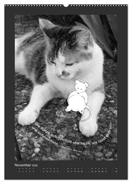 Produktbild: Katz & Maus (Wandkalender 2026 DIN A2 hoch), CALVENDO Monatskalender