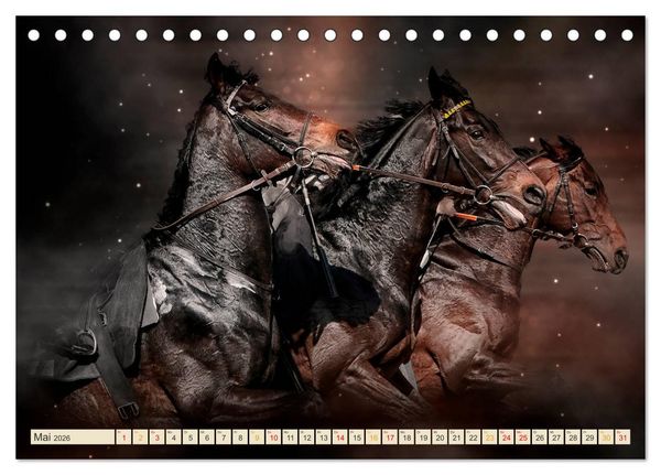 Produktbild: Eleganz und Sch&ouml;nheit - Pferde (Tischkalender 2026 DIN A5 quer), CALVENDO Monatskalender
