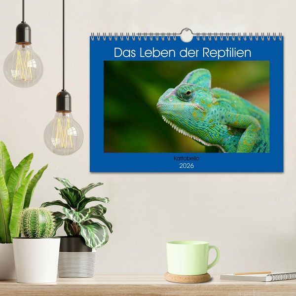 Produktbild: Das Leben der Reptilien (Wandkalender 2026 DIN A4 quer), CALVENDO Monatskalender