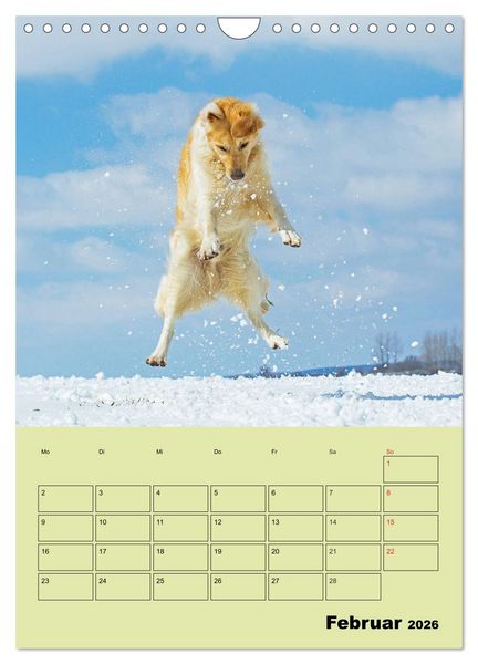Produktbild: Jahresplaner Golden Retriever (Wandkalender 2026 DIN A4 hoch), CALVENDO Monatskalender