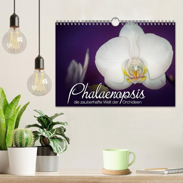 Produktbild: Phalaenopsis - die zauberhafte Welt der Orchideen (Wandkalender 2026 DIN A4 quer), CALVENDO Monatskalender