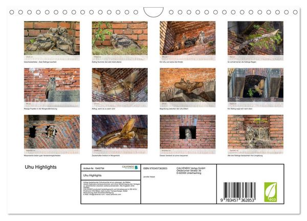 Produktbild: Uhu Highlights (Wandkalender 2026 DIN A4 quer), CALVENDO Monatskalender
