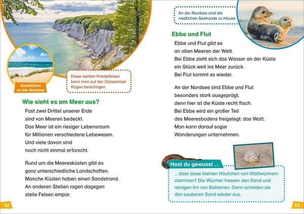Produktbild: WAS IST WAS Erstes Lesen Band 4. Natur entdecken