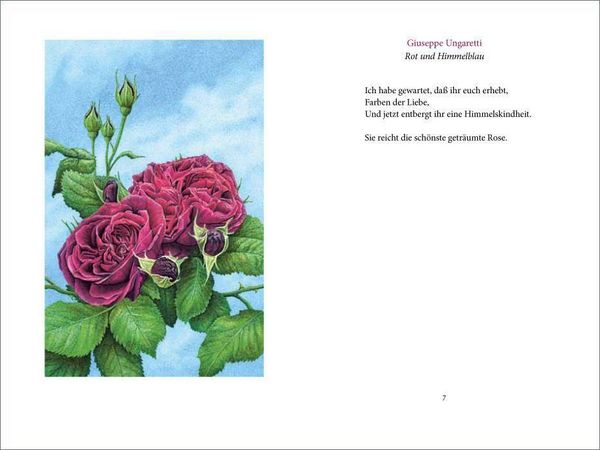 Produktbild: &raquo;Ich wollt&rsquo; dein Bett mit einer Rose schm&uuml;cken&laquo;