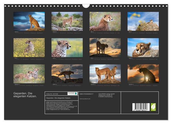 Produktbild: Geparden. Die eleganten Katzen. (Wandkalender 2027 DIN A3 quer), CALVENDO Monatskalender
