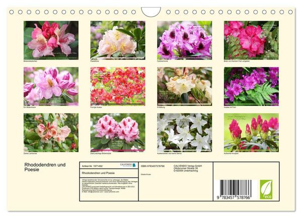 Produktbild: Rhododendren und Poesie (Wandkalender 2026 DIN A4 quer), CALVENDO Monatskalender