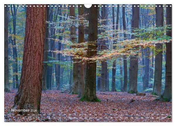Produktbild: Astrein! - Der Baumkalender 2026 (Wandkalender 2026 DIN A3 quer), CALVENDO Monatskalender