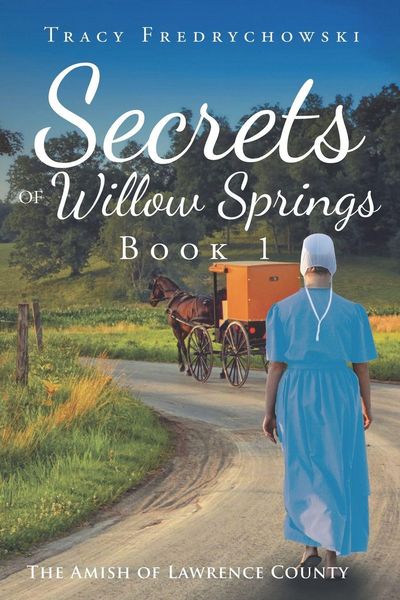 Produktbild: Secrets of Willow Springs - Book 1
