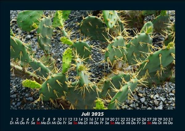 Produktbild: Naturlandschaften 2025 Fotokalender DIN A5