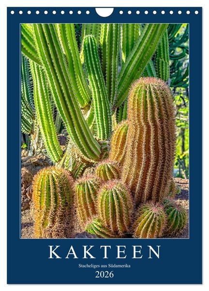 Produktbild: Kakteen - Stacheliges aus S&uuml;damerika (Wandkalender 2026 DIN A4 hoch), CALVENDO Monatskalender
