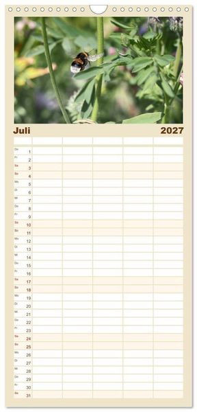 Produktbild: Familienplaner 2027 - Hummelflug mit 5 Spalten (Wandkalender, 21 x 45 cm) CALVENDO
